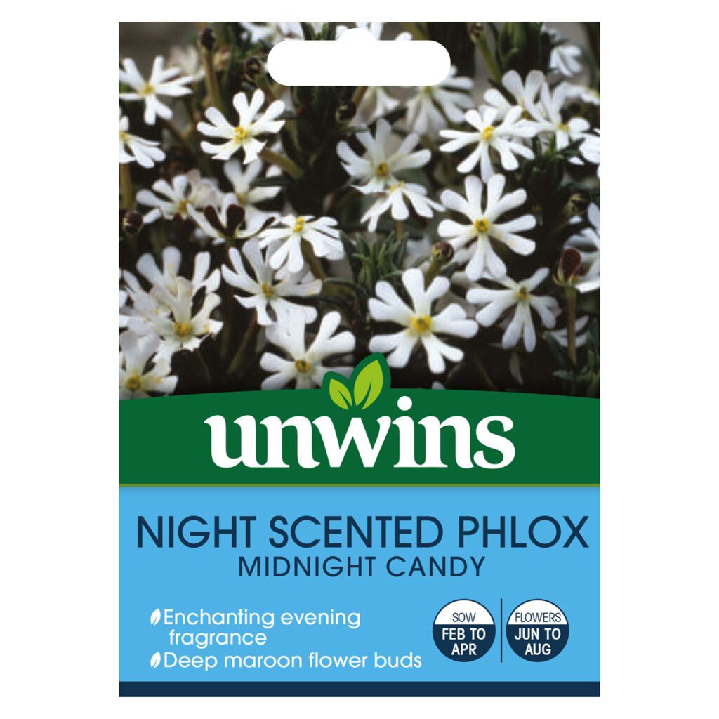 Unwins Phlox Midnight Candy Seeds 5051618032339 2